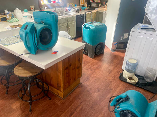  Lofall, WA Water damage restoration Pros