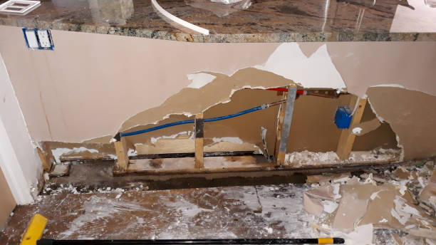 Best Professional water damage repair  in Lofall, WA